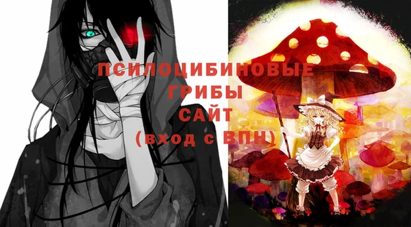 МДПВ Зуевка