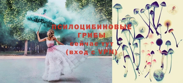 сатива Ивантеевка