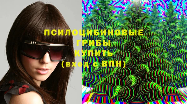 сатива Ивантеевка
