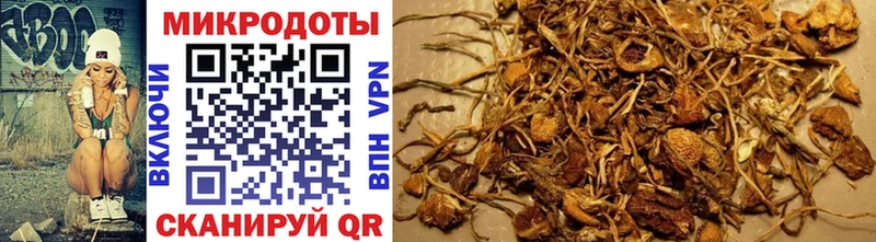 Галлюциногенные грибы Magic Shrooms  Купить где  Жуковка 